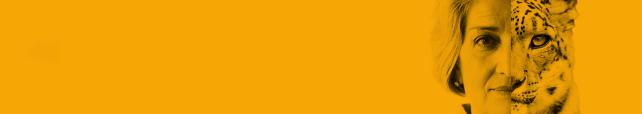 resources-helpful-tools_banner